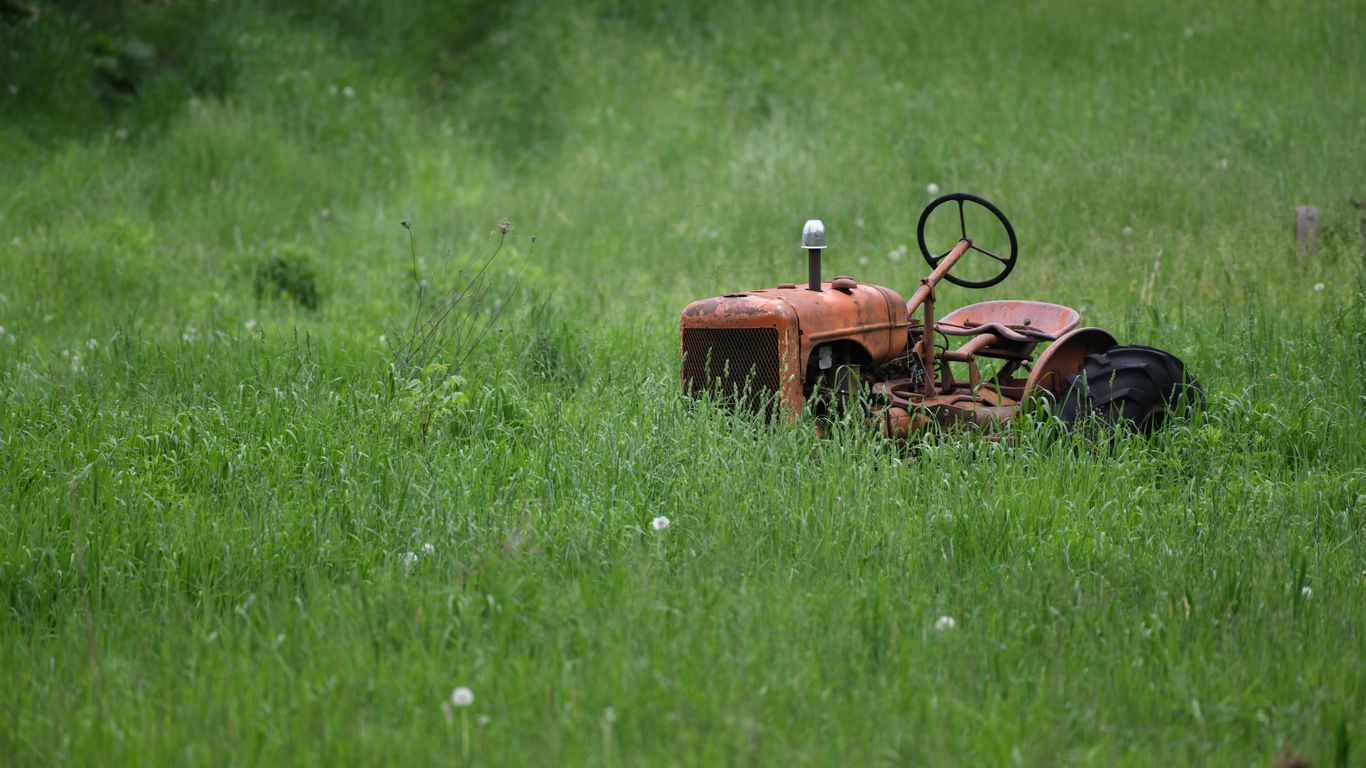 orange tractor on green grass field during daytime