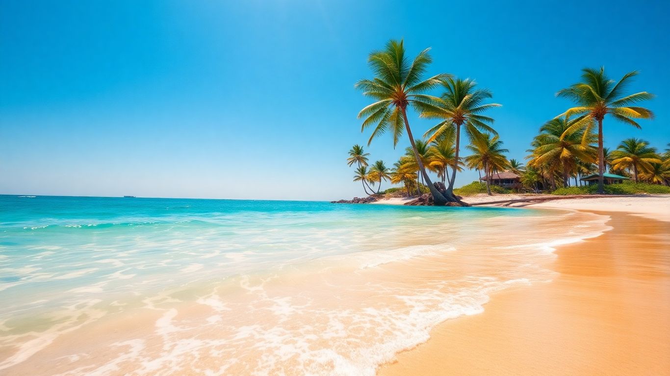 Sunny beach with palm trees and clear blue water.