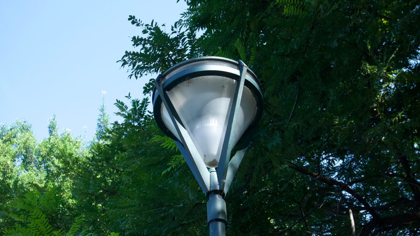 A streetlamp stands against a blue sky and trees.