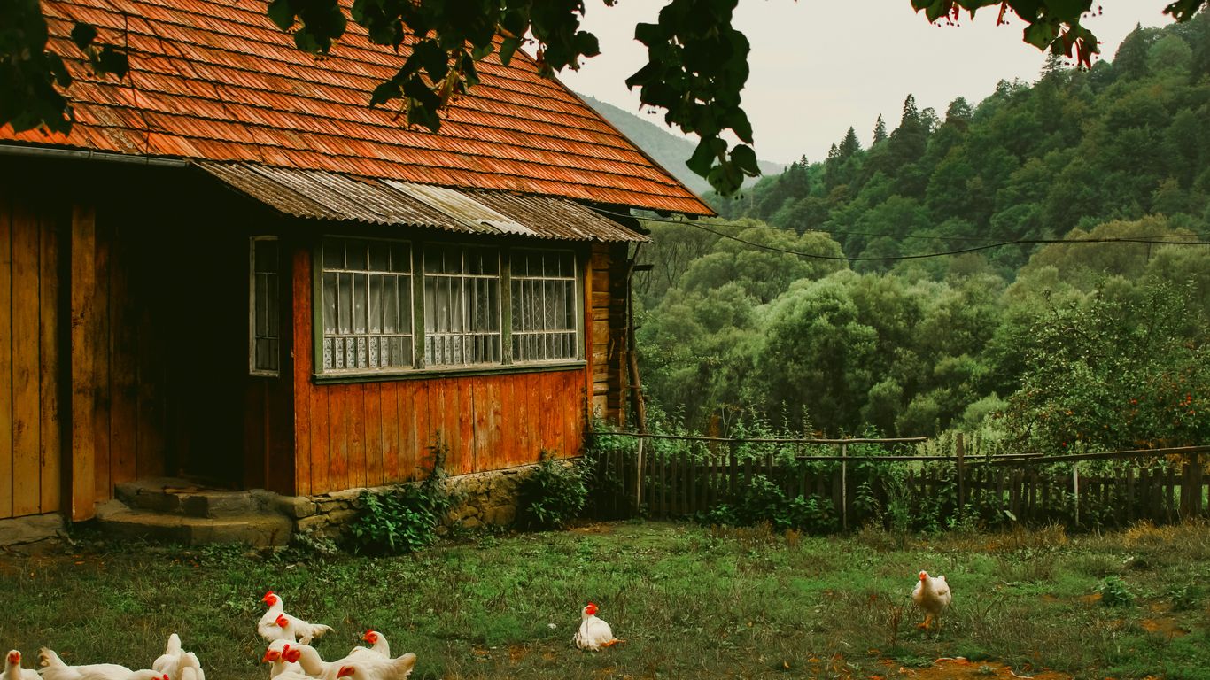 A farmhouse sits peacefully in a rural setting.
