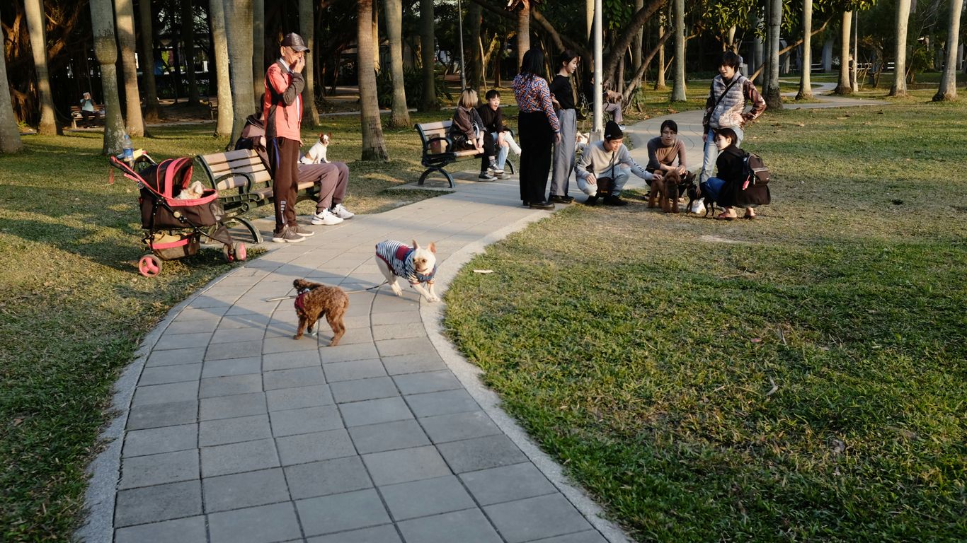 people sitting on green grass field during daytime