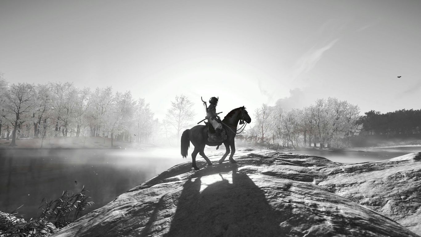 a person riding on the back of a horse