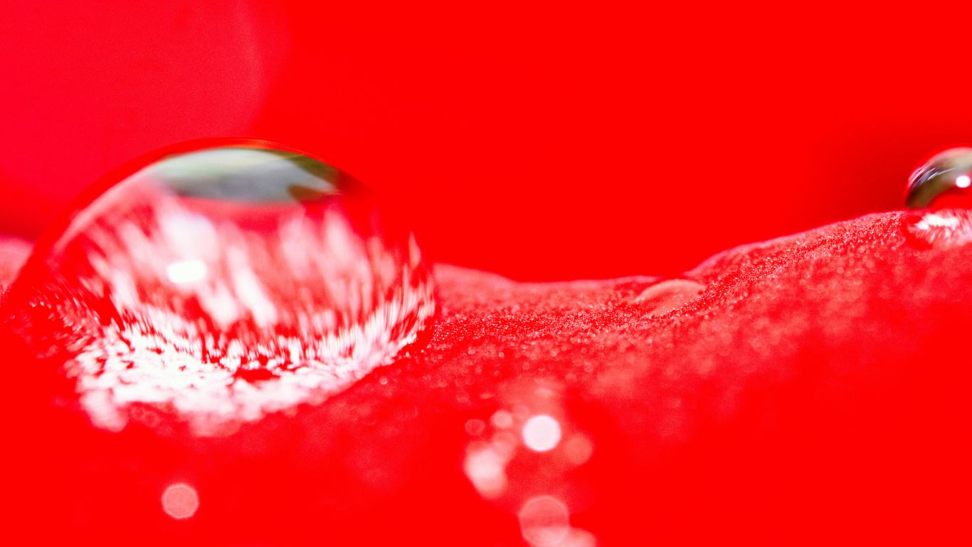 Water droplets shimmer on a bright red surface.