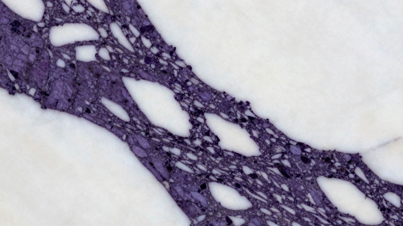 Calacatta Viola Imperiale marble slab with purple veins.