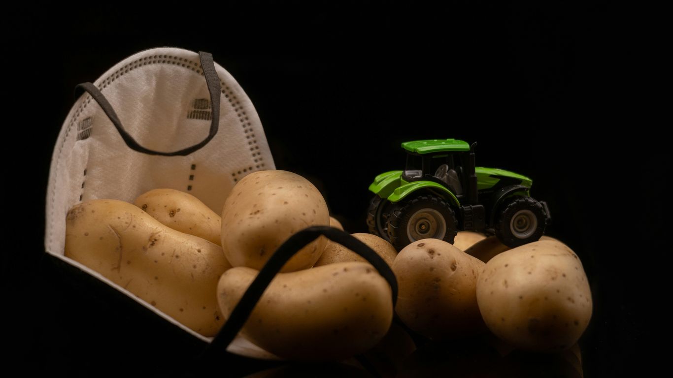 a bag of potatoes and a tractor on a table