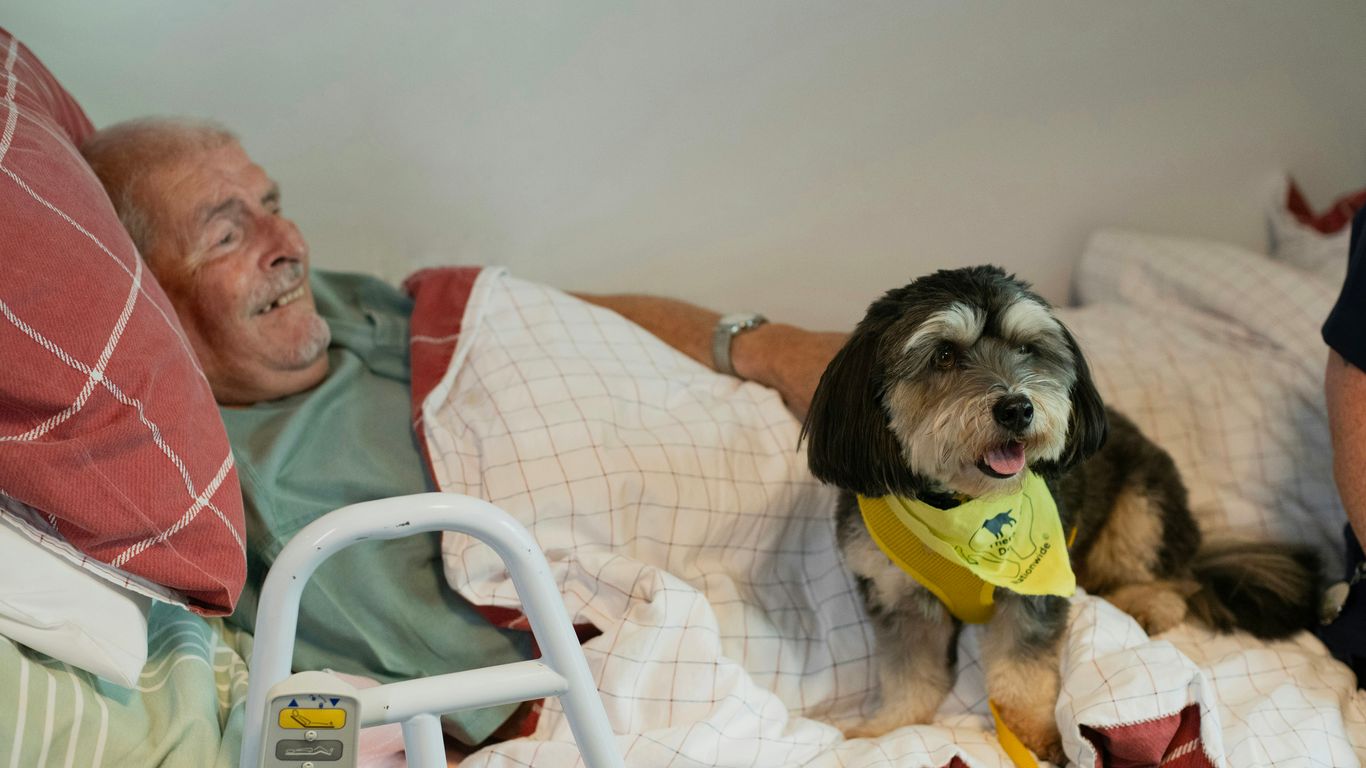 Elderly man and dog in bed