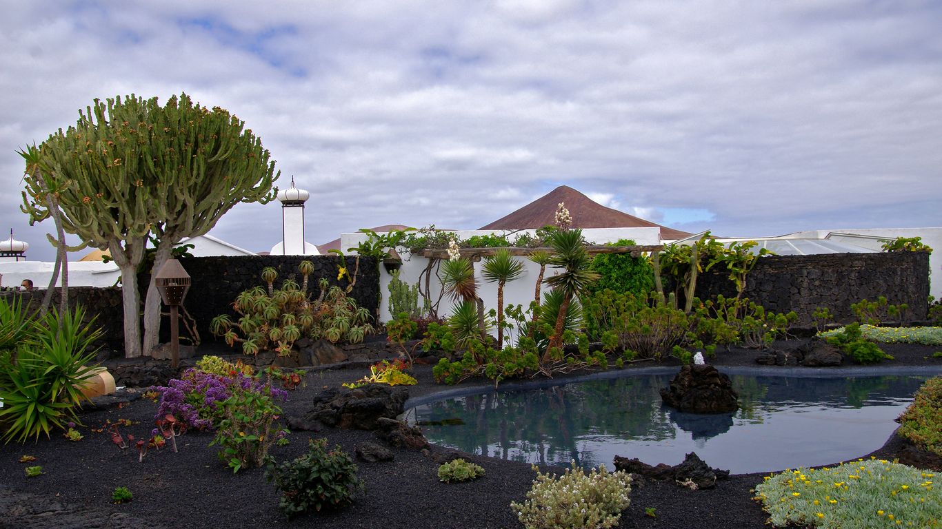 a small pool surrounded by plants and trees