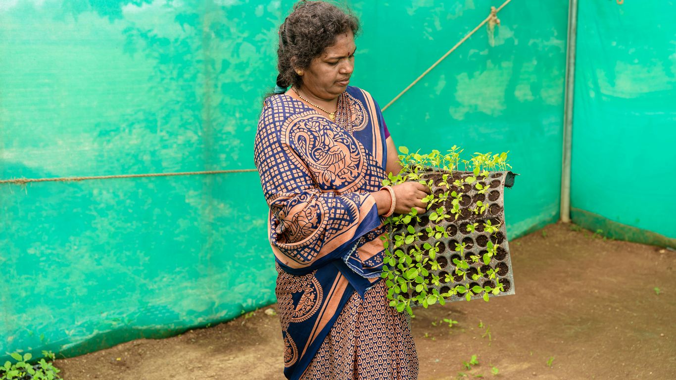 a woman holding a plant in a greenhouse