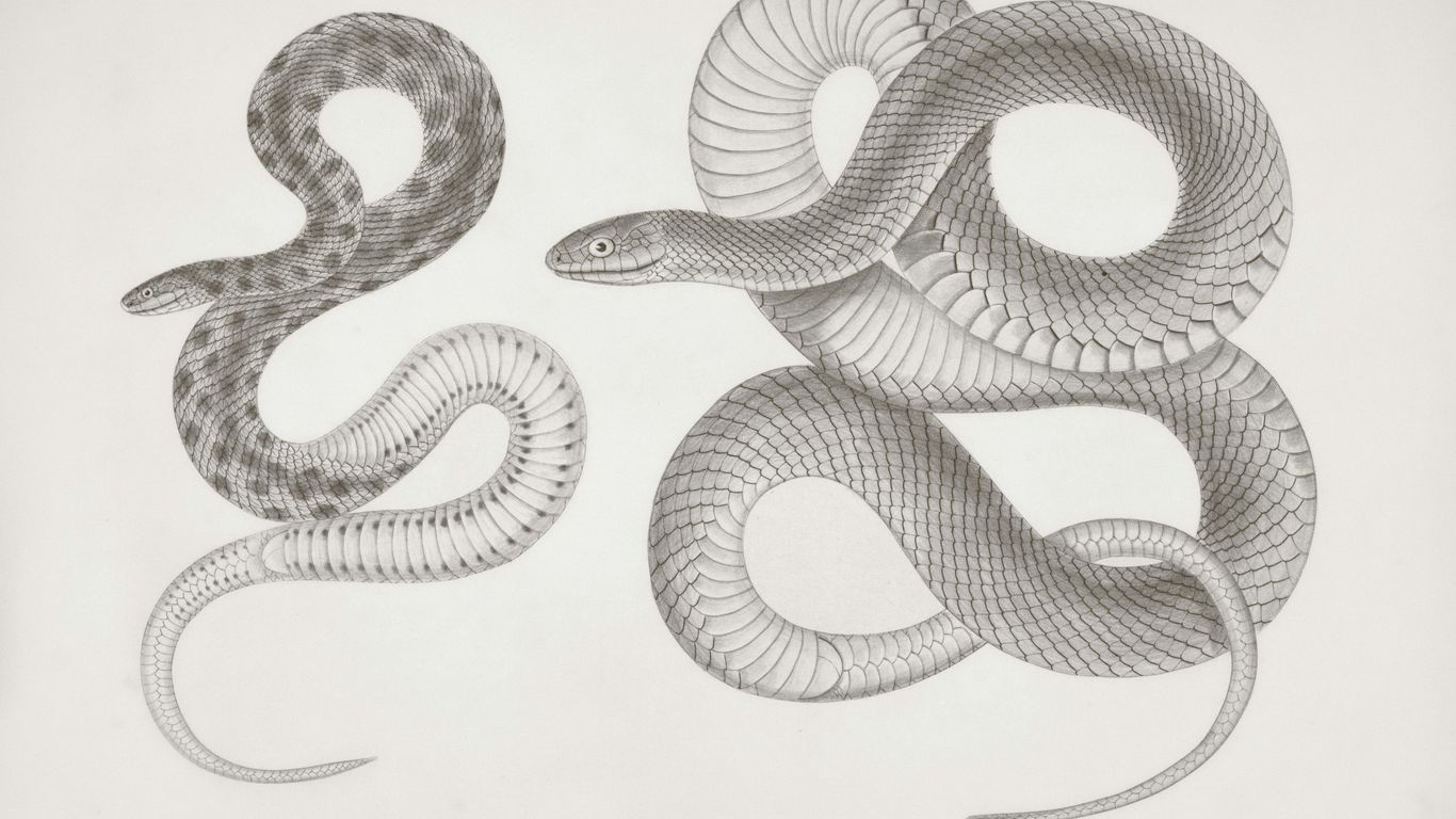 python code abstract data types