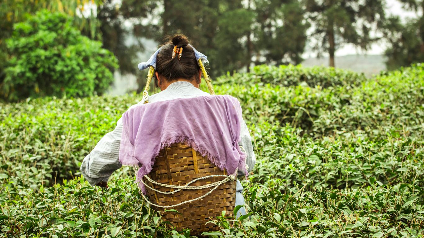 girl in pink dress and white pants carrying brown woven basket