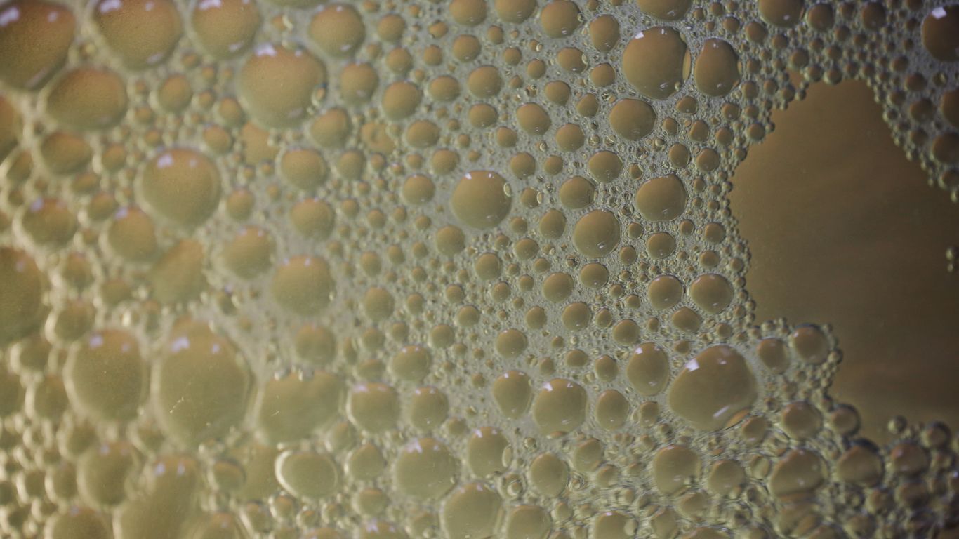 Bubbles cover a surface in various sizes.