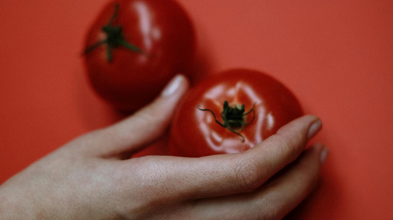A hand holding a tomato, another tomato on red background.