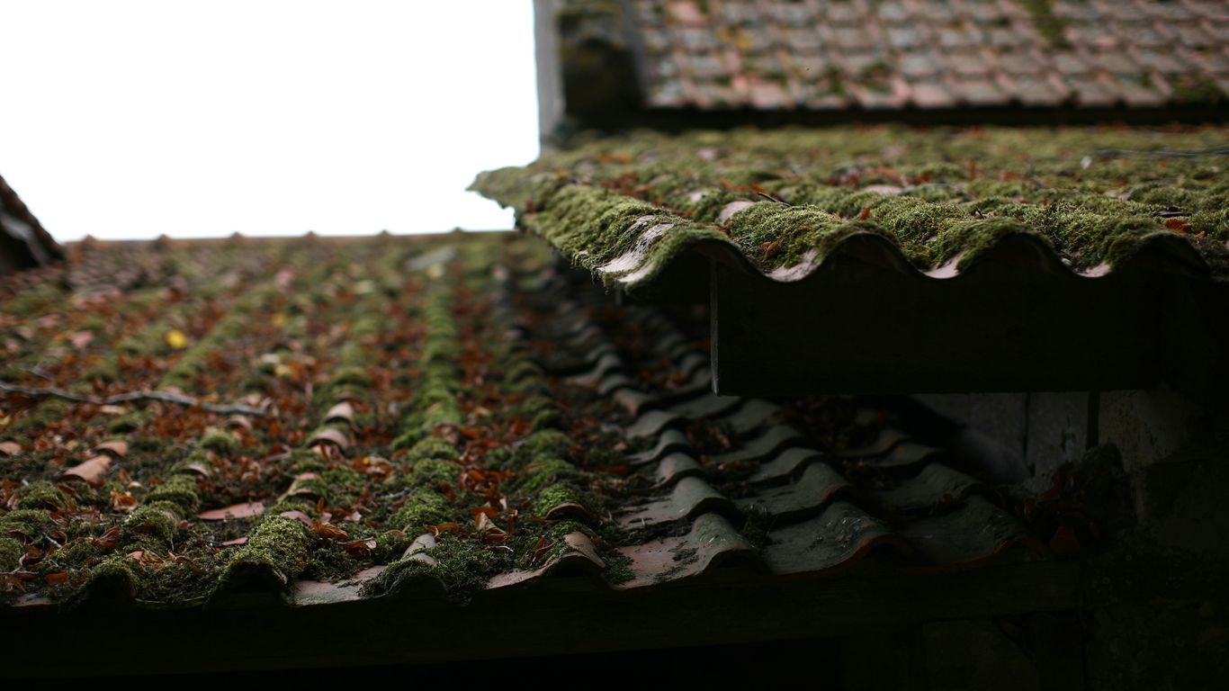 a stone fireplace with moss growing on it