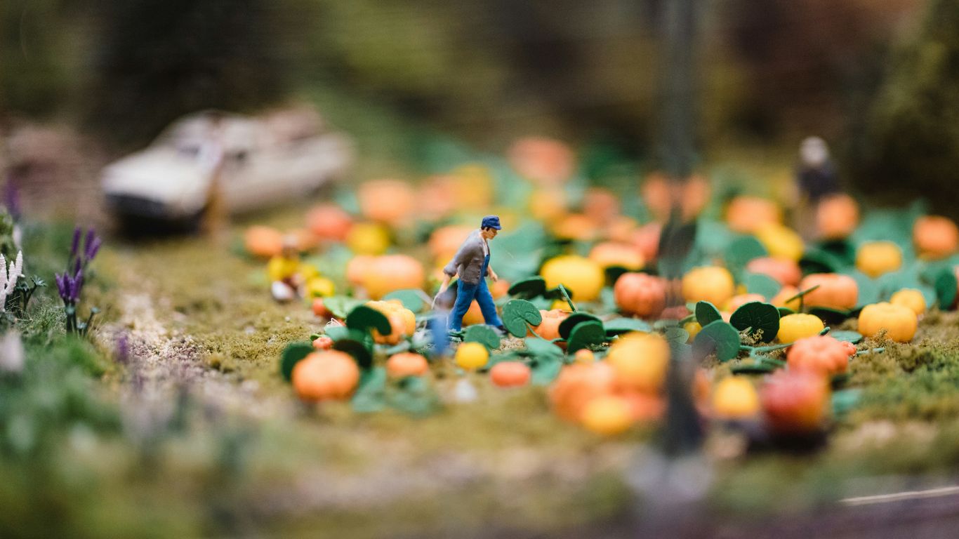 photo of person besides pumpkins