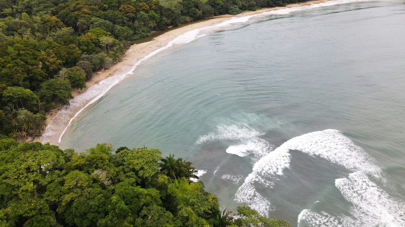 an aerial view of a beach and forested area