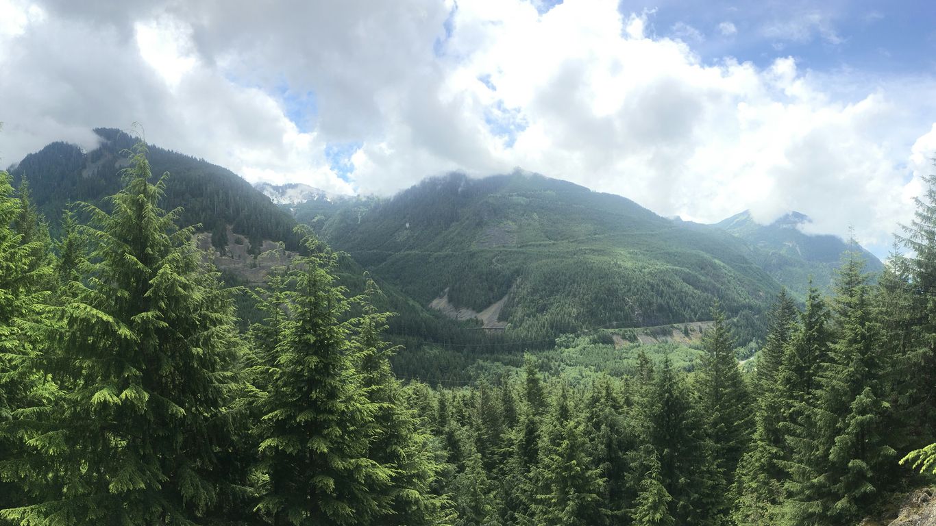 green trees on mountain under white clouds during daytime