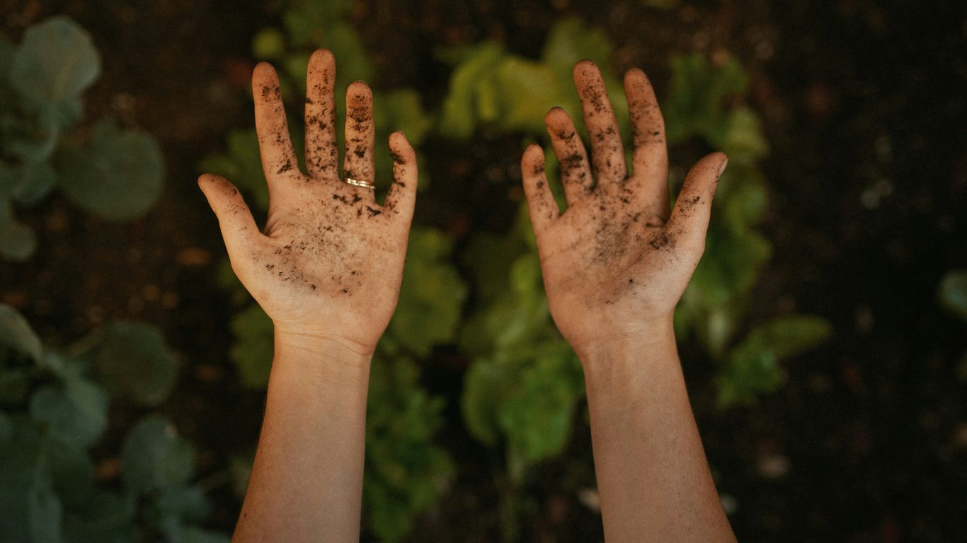 persons left hand with green nail polish
