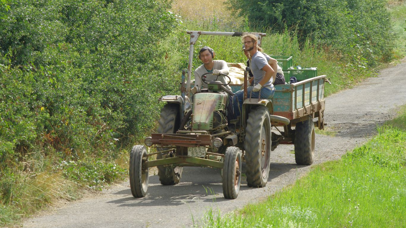 a couple of people riding on the back of a tractor