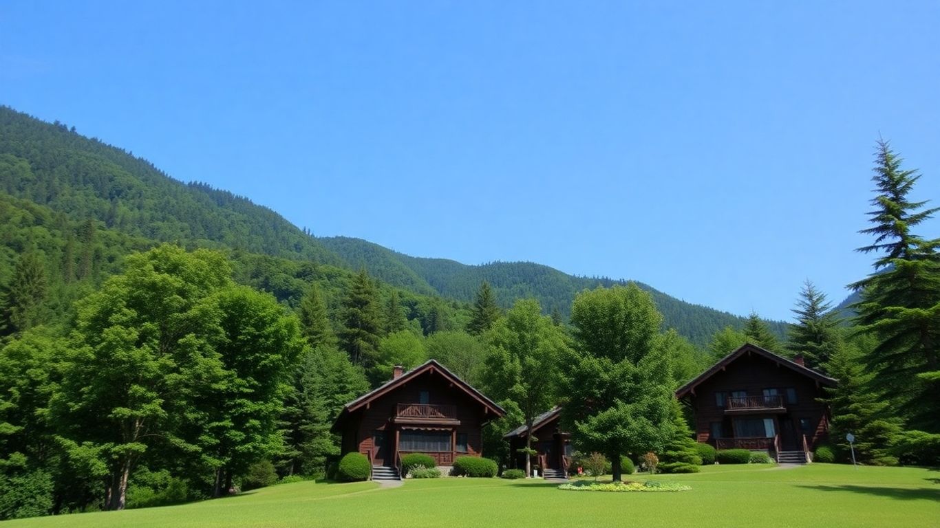 Binna Burra Lodge surrounded by rainforest and mountains.