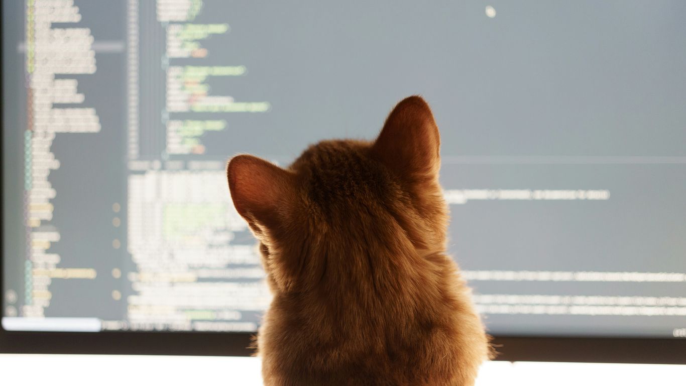 a cat sitting in front of a computer monitor