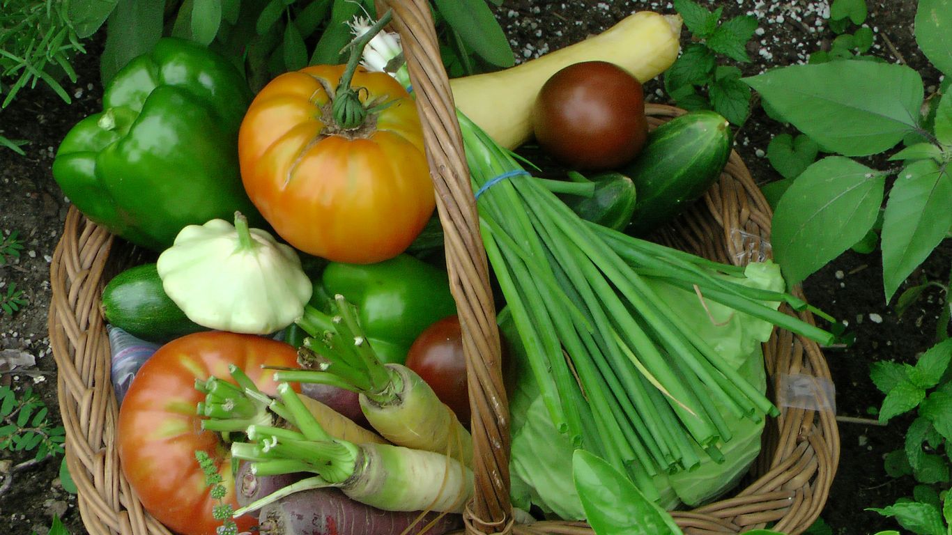 a basket filled with lots of different types of vegetables
