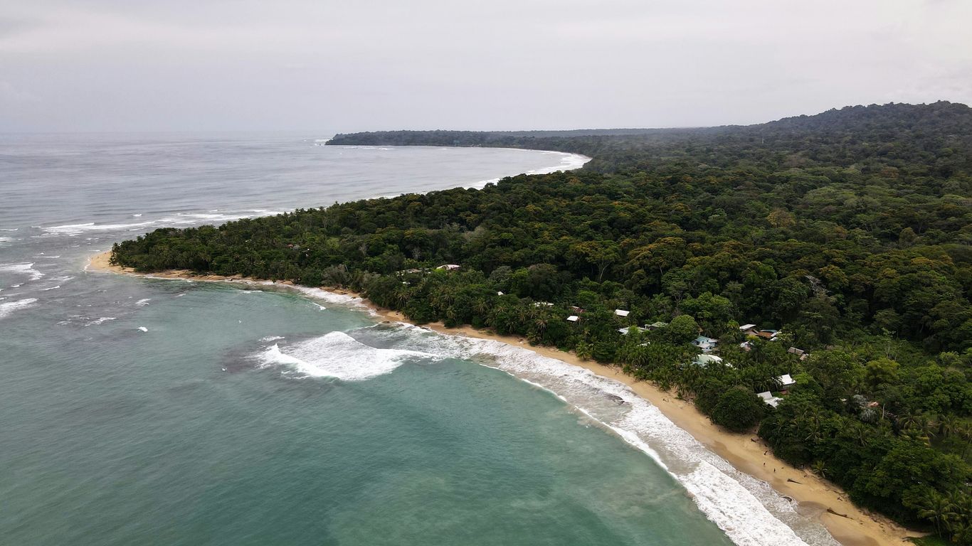 an aerial view of a beach and a forested area