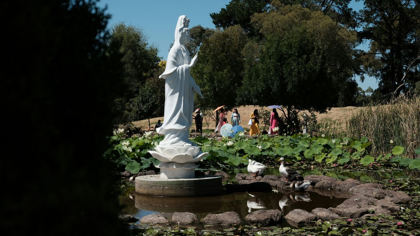 White statue in a lotus pond with ducks and people.