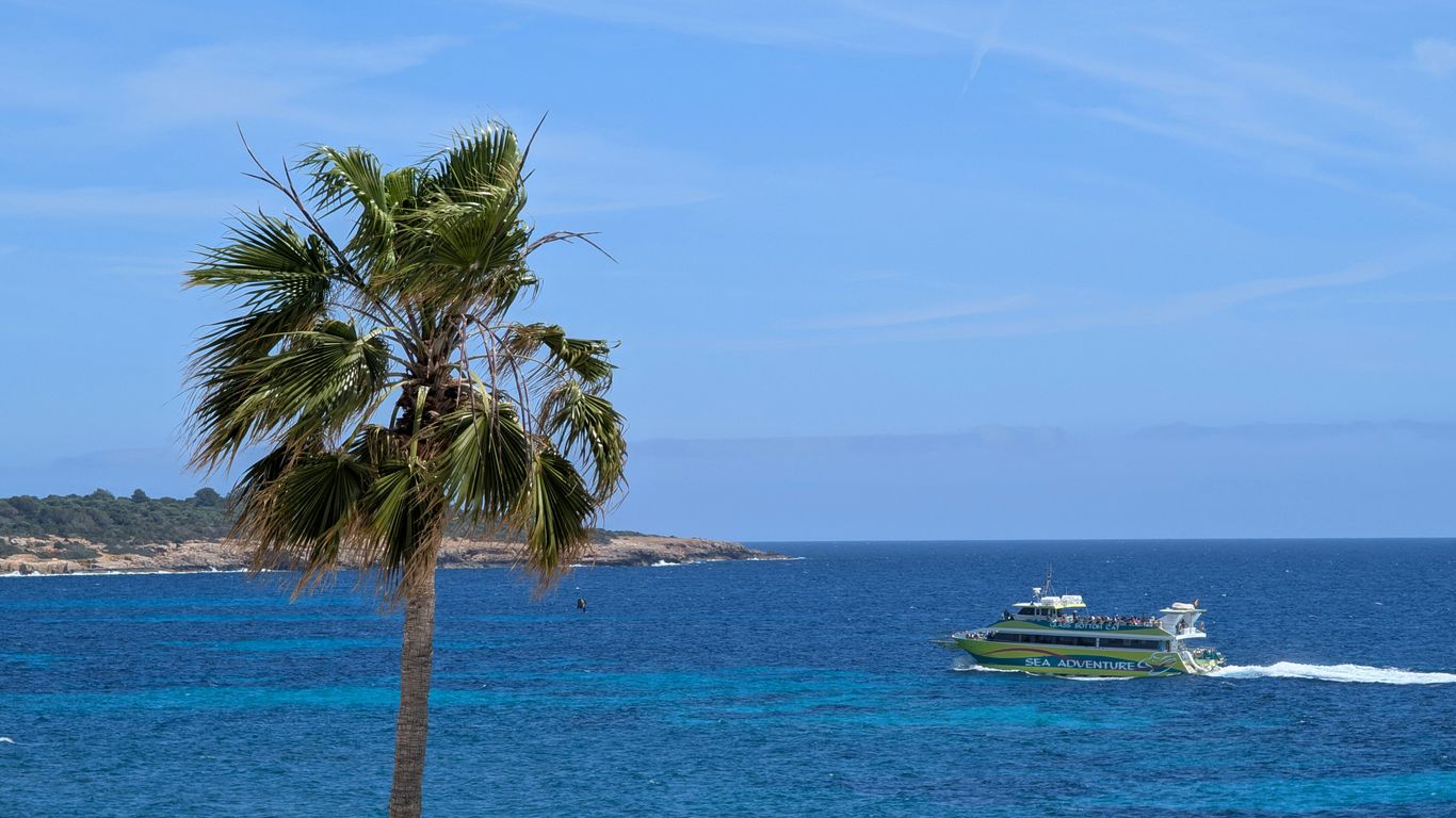 Palm tree, boat, and blue ocean on a sunny day.