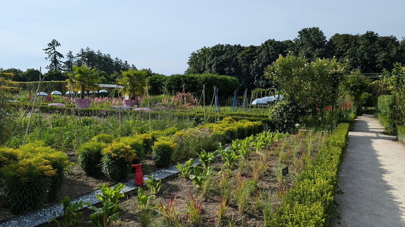 A garden filled with lots of different types of plants