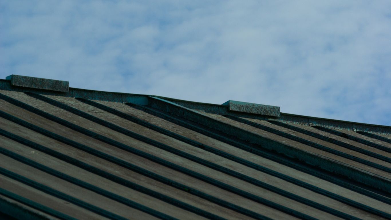 a bird is perched on the roof of a building