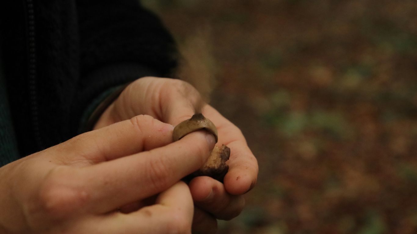 person holding brown and black frog