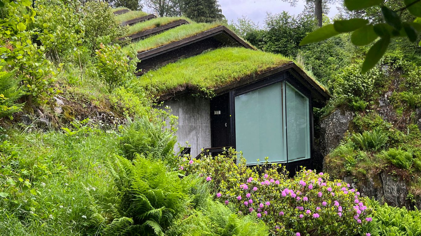 a small building in a forest