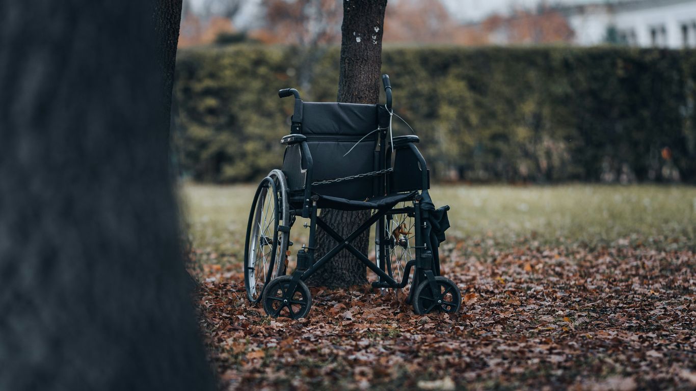a wheelchair sitting under a tree in a park