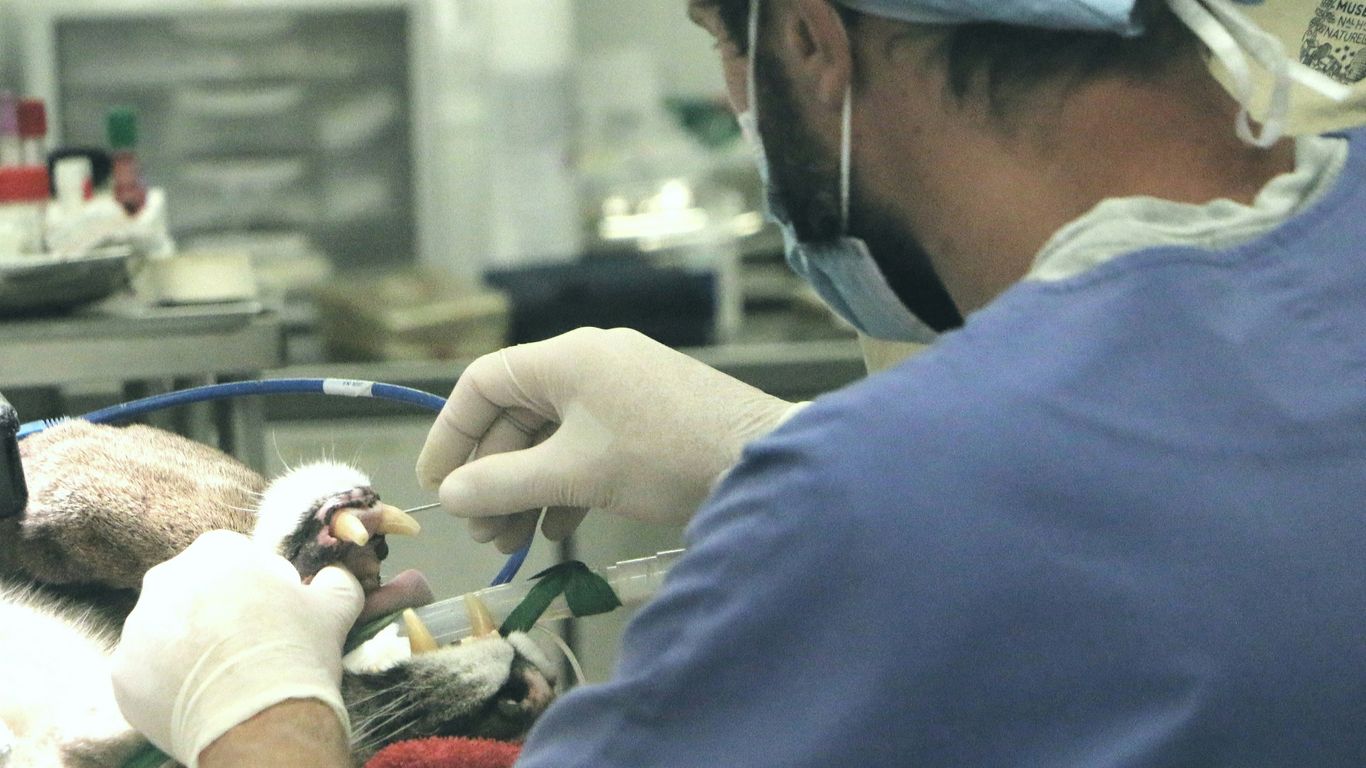 a man in a blue shirt