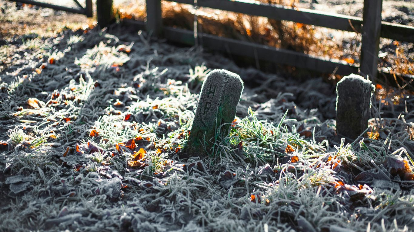 a couple of rocks sitting on top of a grass covered field
