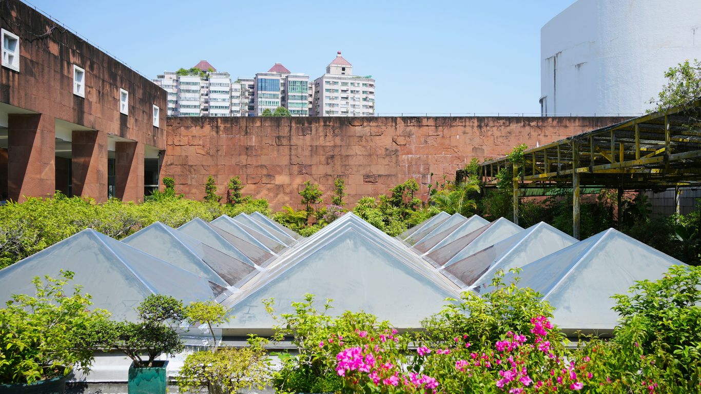 A bunch of umbrellas that are sitting in the grass