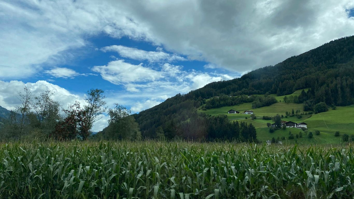 green grass field near green mountain under blue sky during daytime
