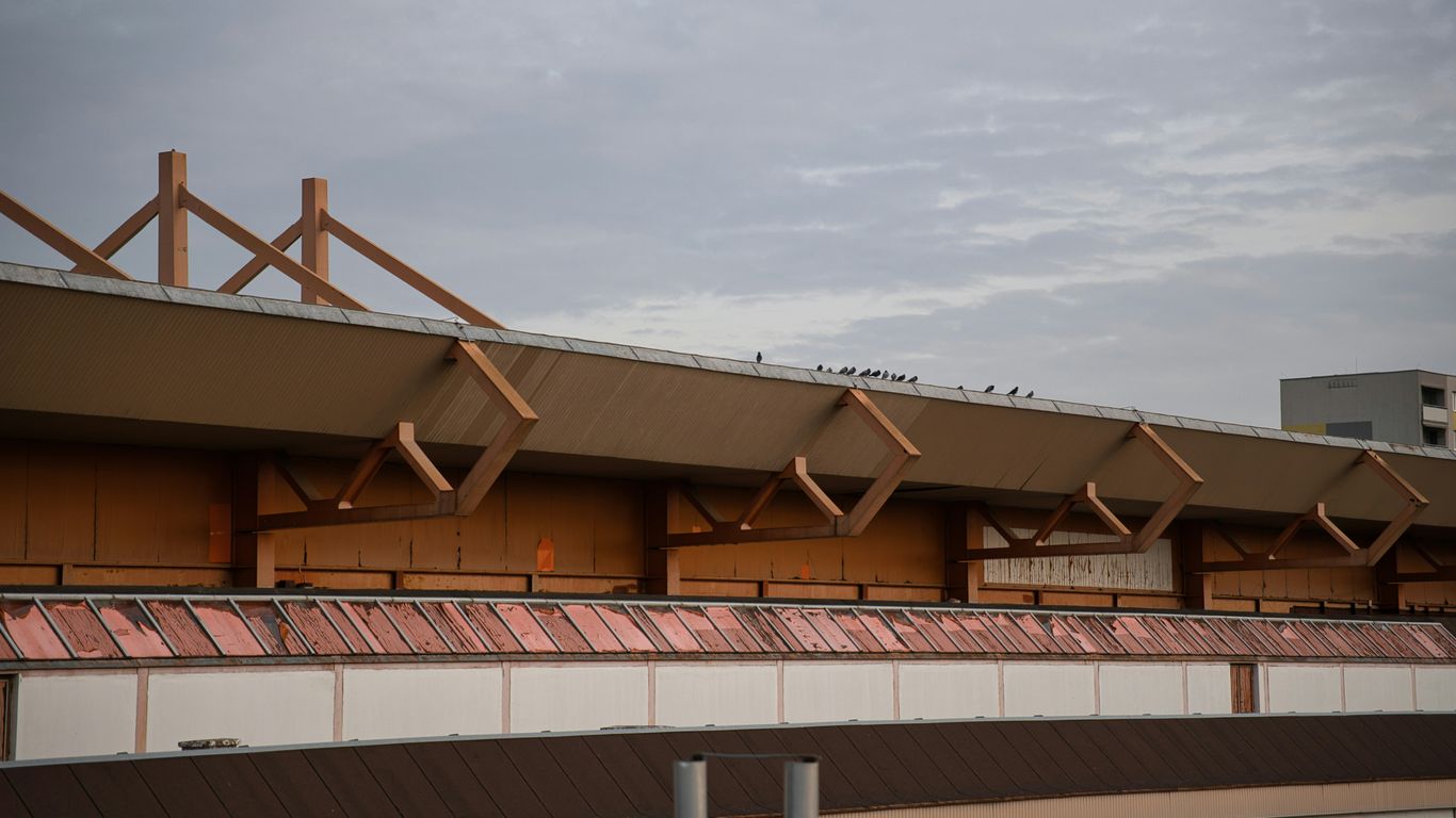 Modern building roof with geometric wooden supports