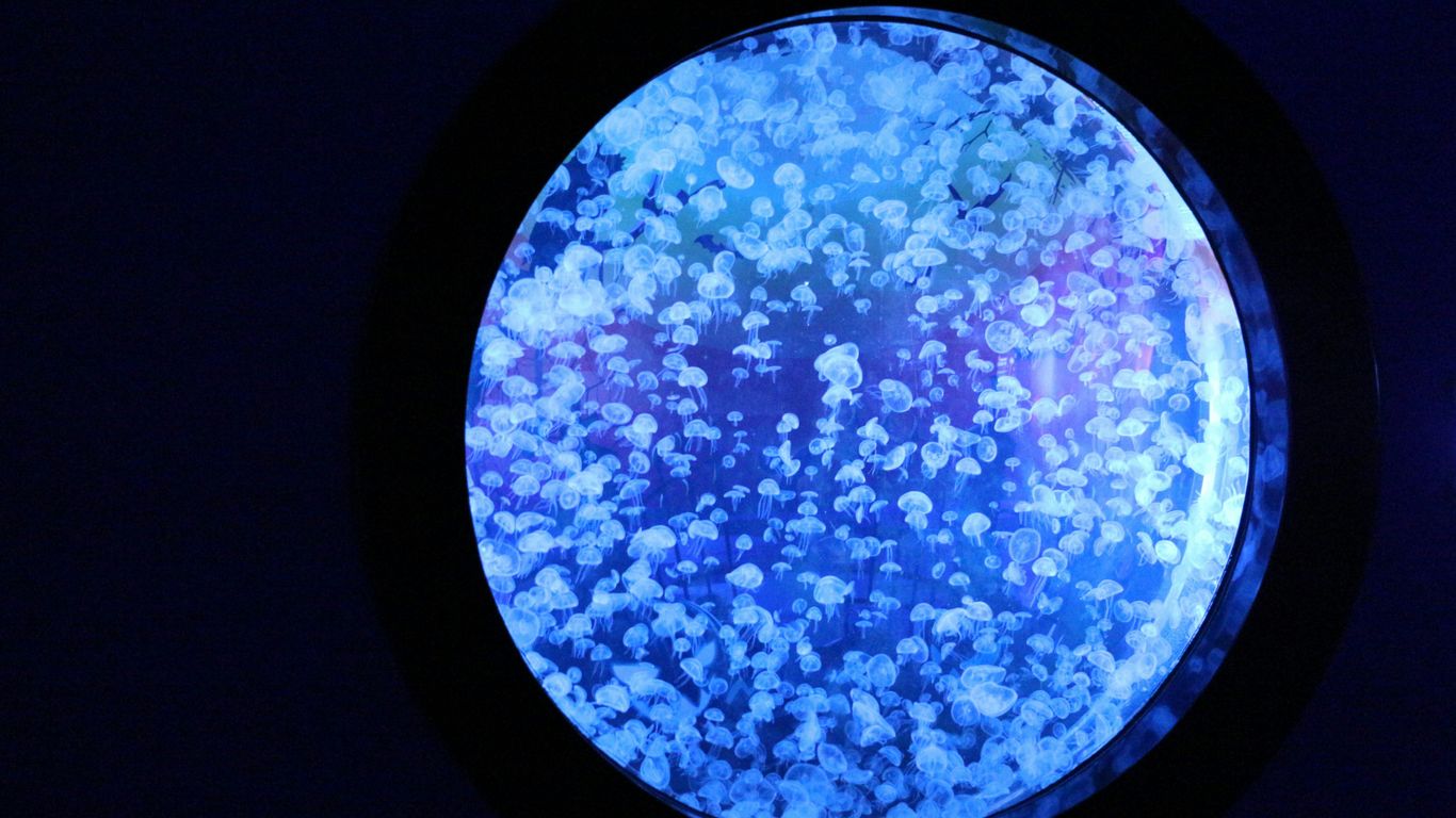 a round window in a dark room with blue light