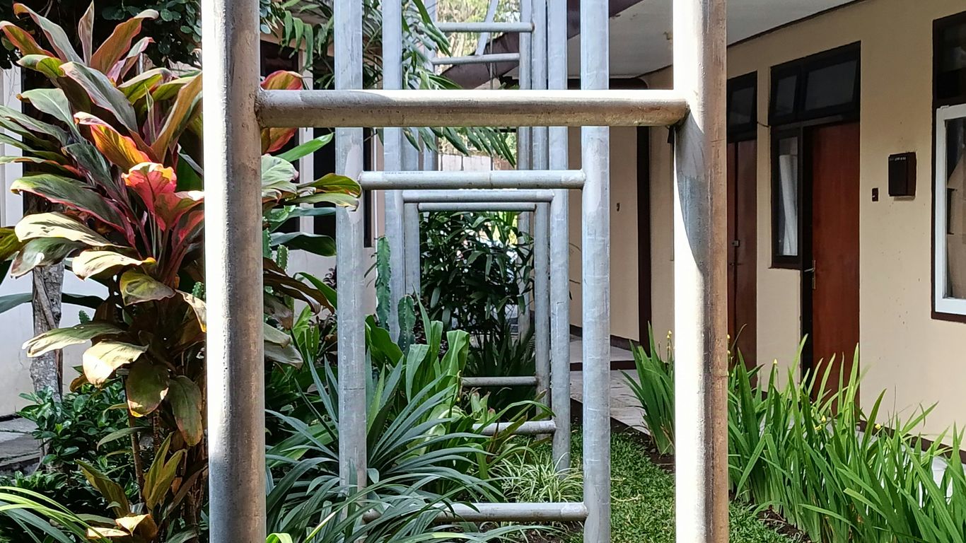 A building with a bunch of plants in front of it