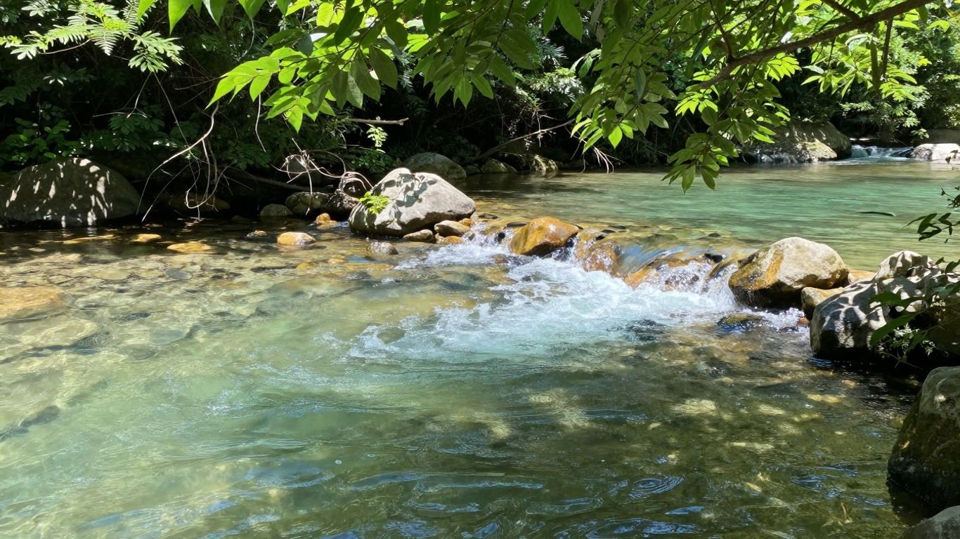 Clean water flowing through a natural, green environment.
