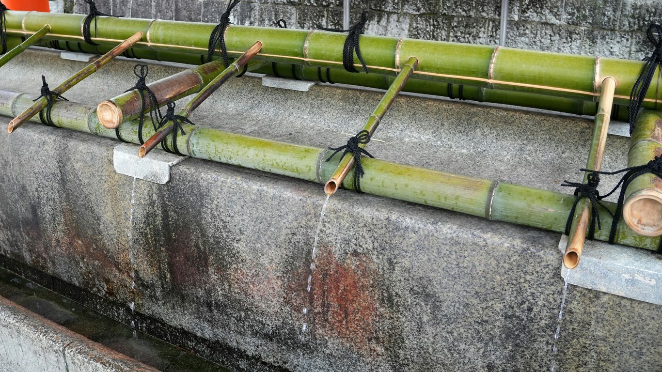 a row of bamboo poles sitting on top of a cement wall