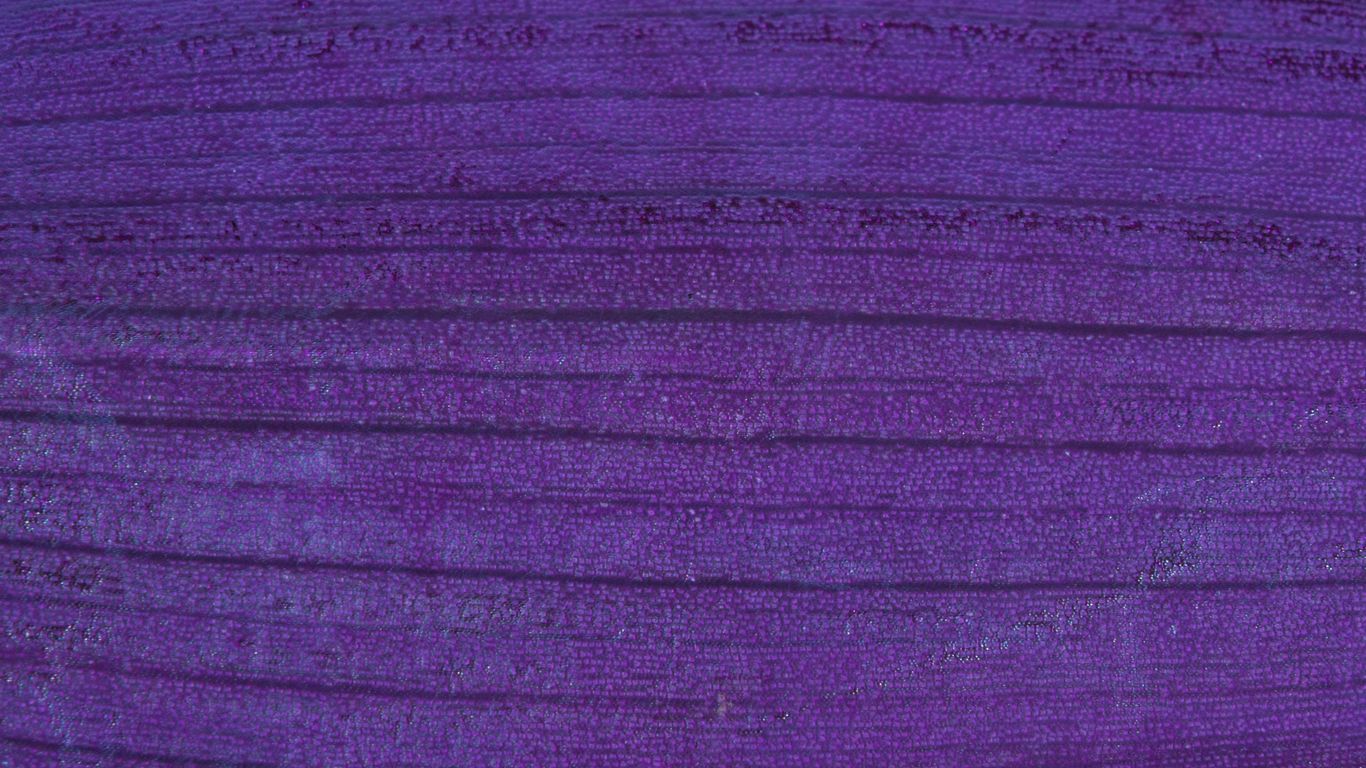 a close up of a purple cloth texture