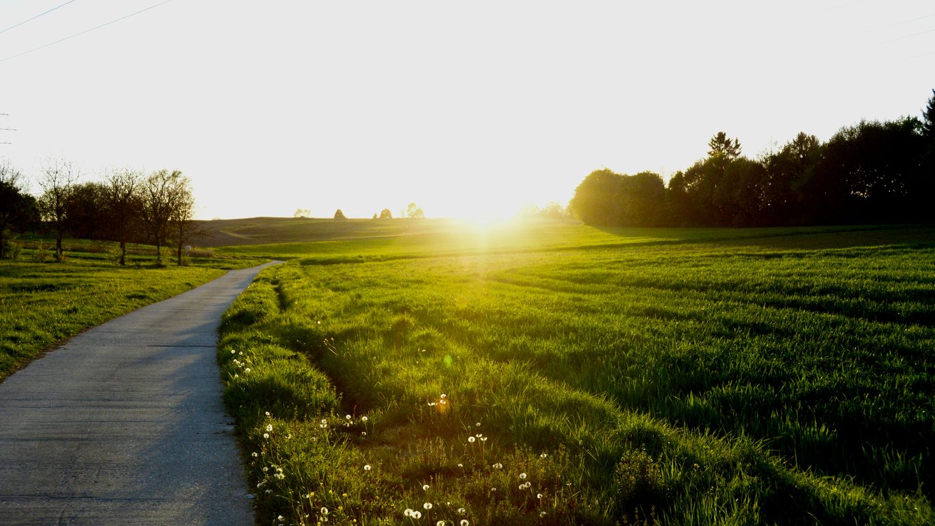 gray road beside green grass fields