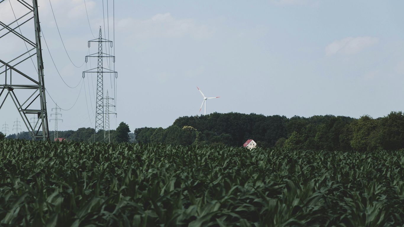 person in red shirt standing on green grass field during daytime