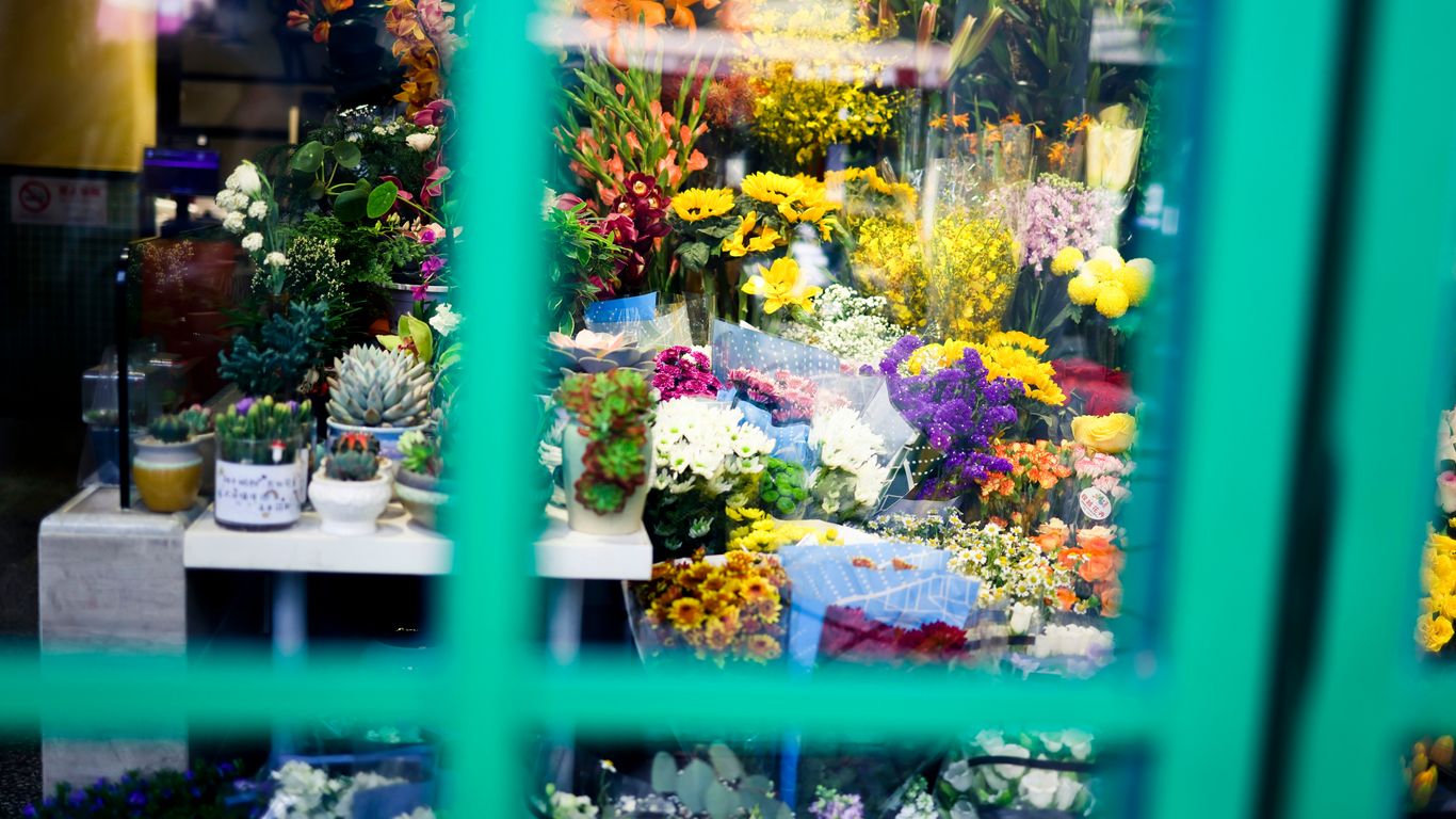 a window display with flowers