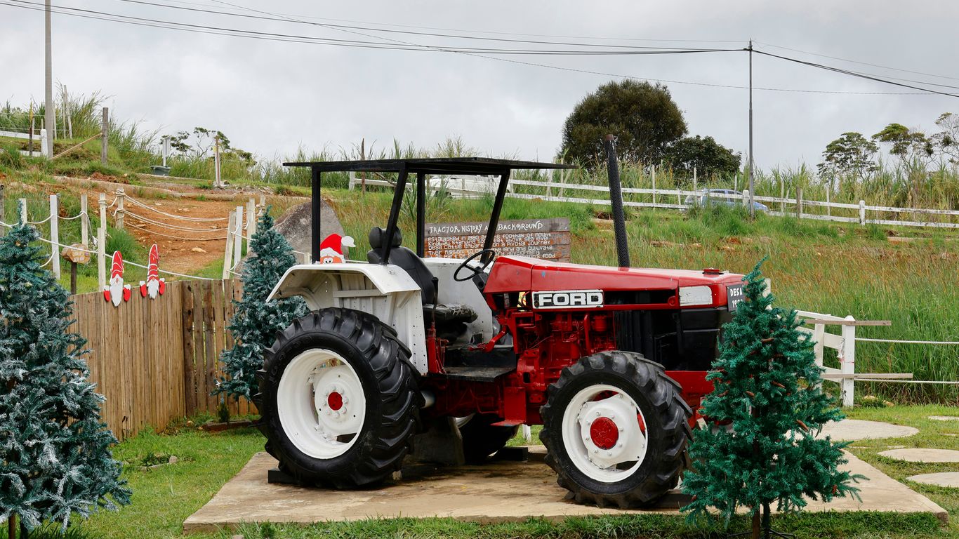 Red and white tractor with christmas trees