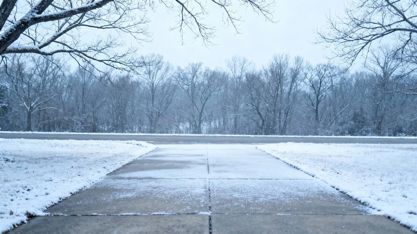Snow-dusted concrete driveway in winter.