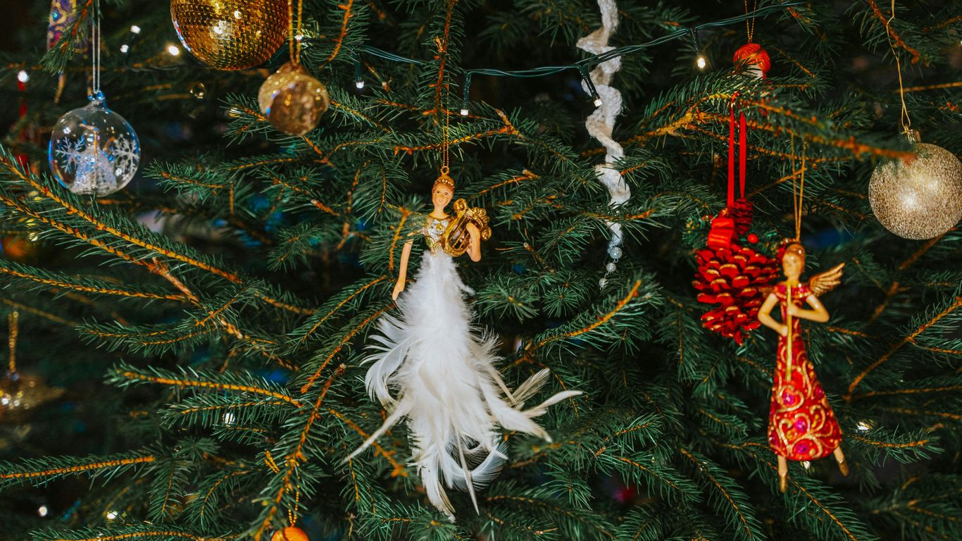 an evergreen tree decorated for Christmas festivities