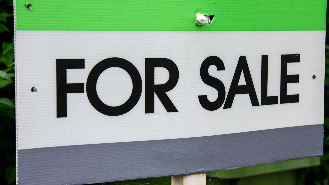 A green and white for sale sign with a bird perched on it